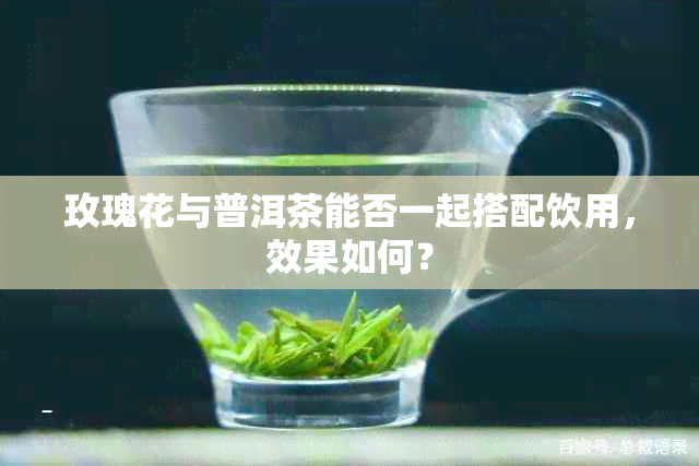 玫瑰花与普洱茶能否一起搭配饮用,效果如何?