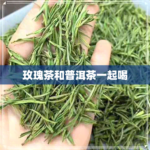 玫瑰茶和普洱茶一起喝 玫瑰茶和普洱茶一起喝