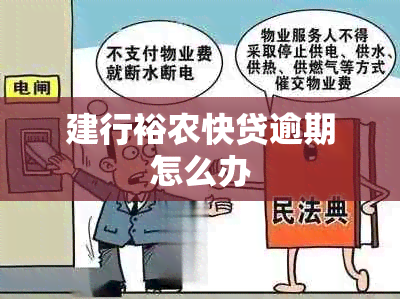 建行裕农快贷逾期怎么办