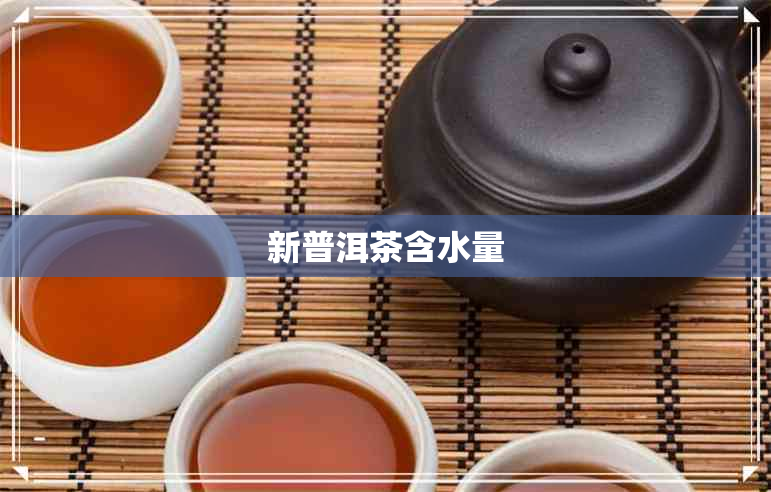 新普洱茶含水量