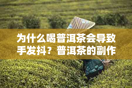 为什么喝普洱茶会导致手发抖?普洱茶的副作用与注意事项