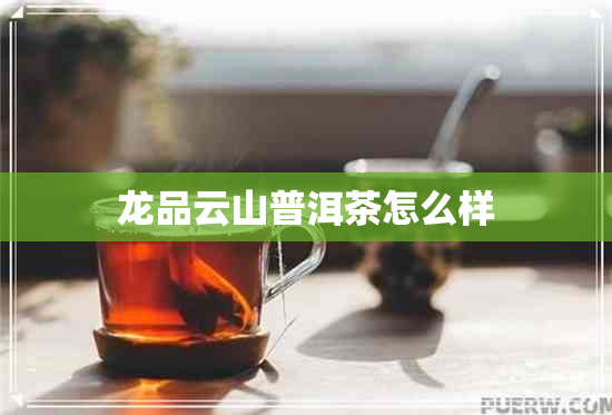 龙品云山普洱茶怎么样