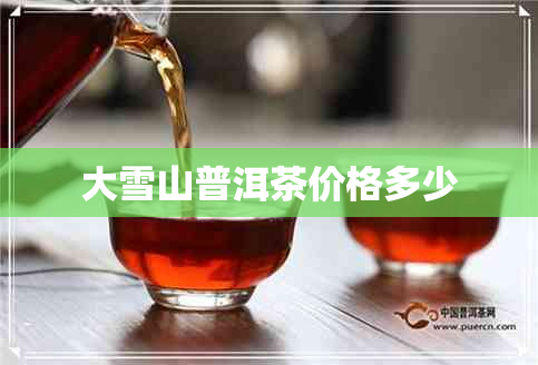 大雪山普洱茶价格多少
