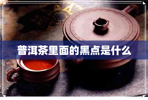 普洱茶里面的黑点是什么