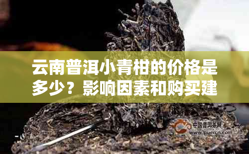 云南普洱小青柑的价格是多少?影响因素和购买建议