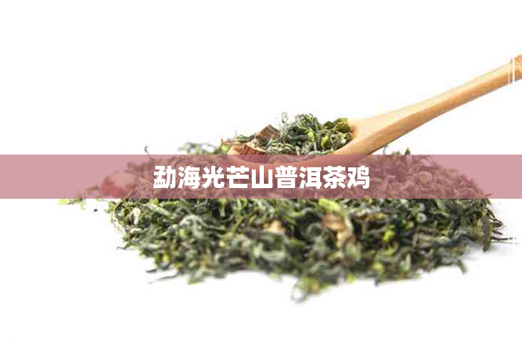 勐海光芒山普洱茶鸡