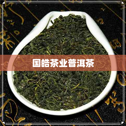 国皓茶业普洱茶