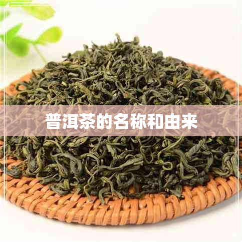 普洱茶的名称和由来